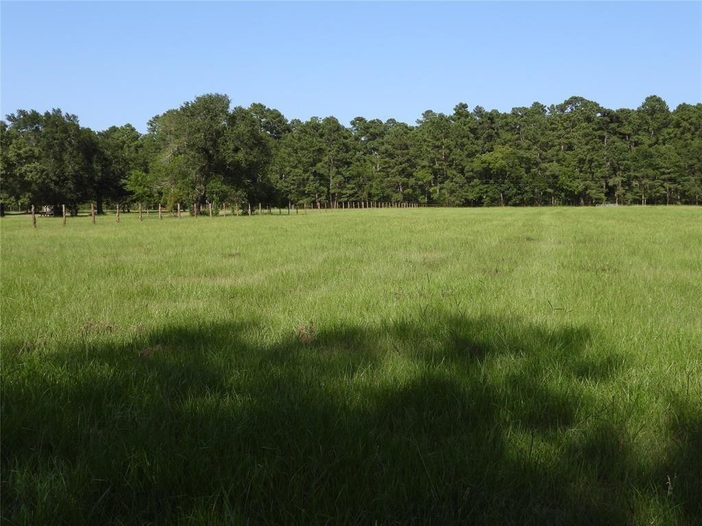18855 Bethel Road Richards, TX 77873 - Photo 13 of 21 Gallery Image 13