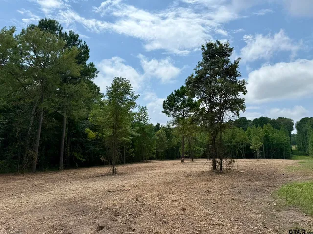 a view of a dry yard with trees