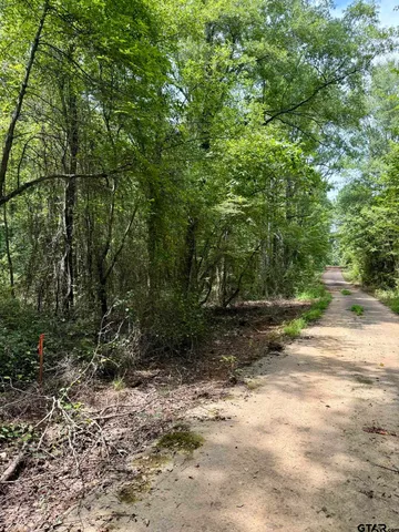 a view of a yard with plants and trees