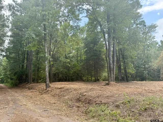 a view of backyard with green space