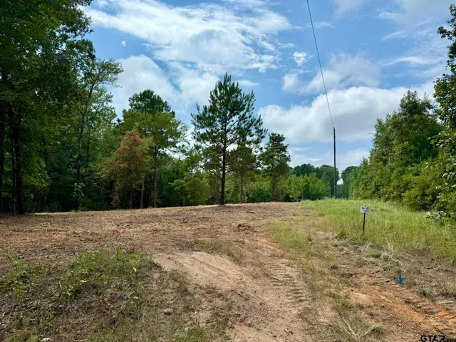 a view of an outdoor space and a yard