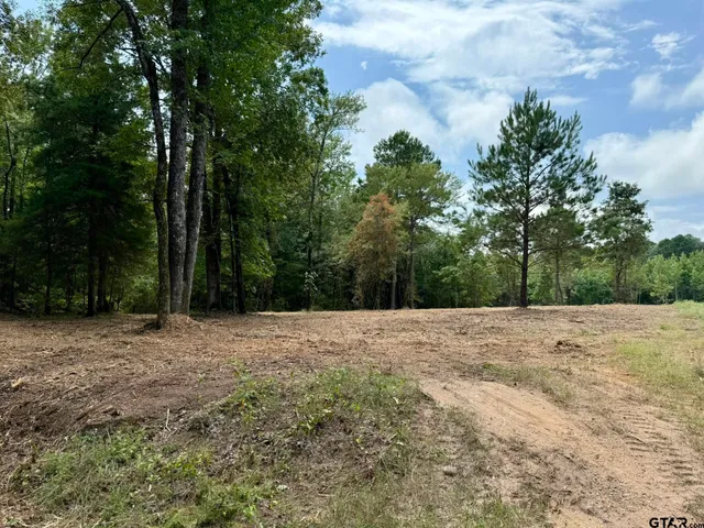 a view of dirt yard with a large tree
