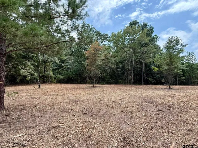 a view of outdoor space with deck and yard