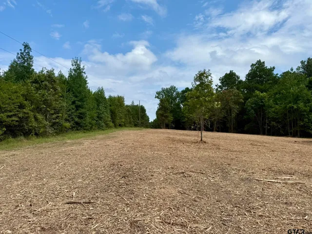 a view of dirt field with trees in background