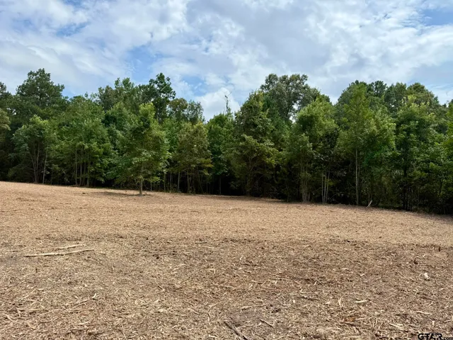 a view of empty field with trees in background