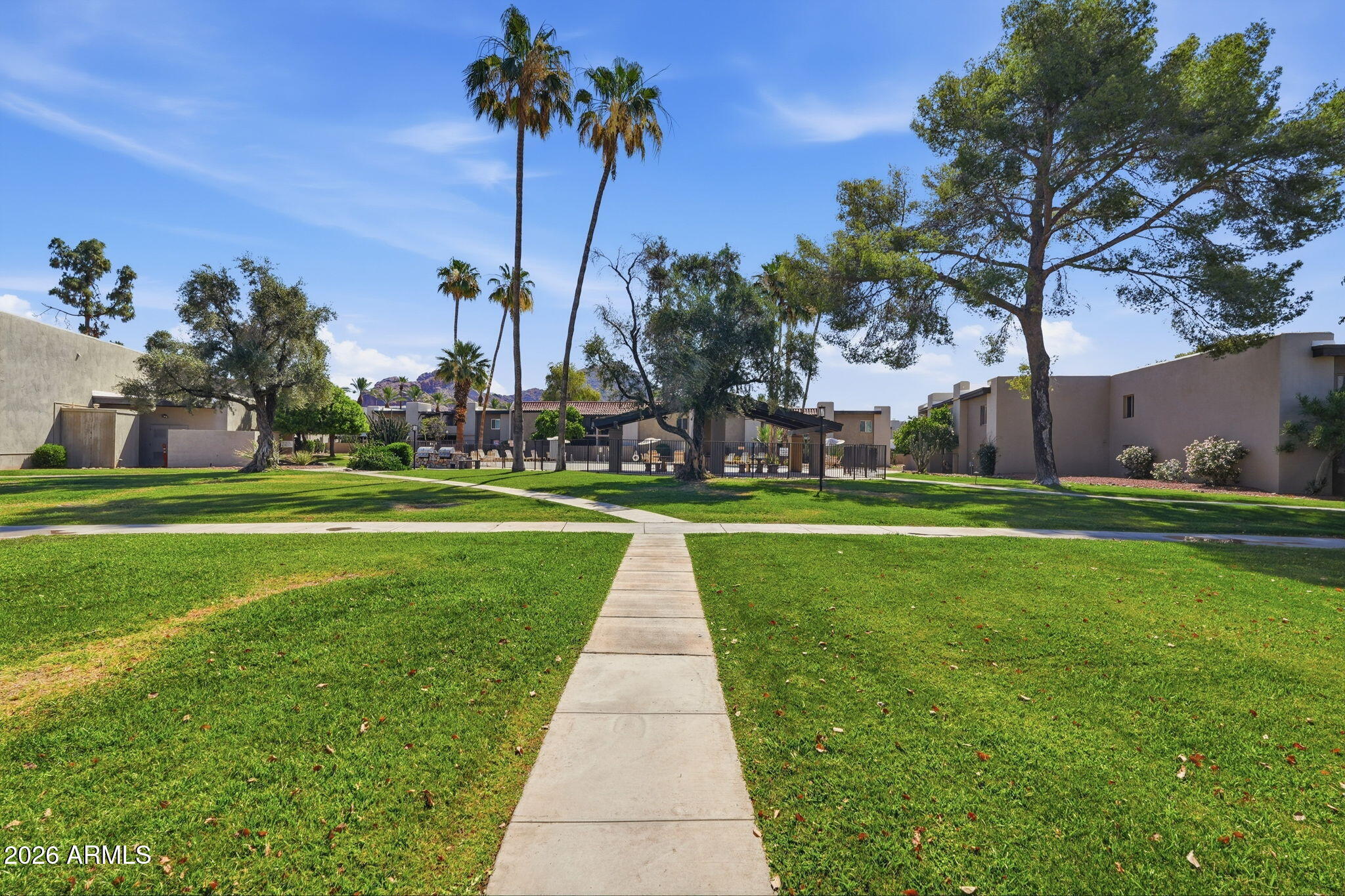 4201 East Camelback Road, Unit 34 Phoenix, AZ 85018 - Photo 16 of 19 a view of a park with palm trees