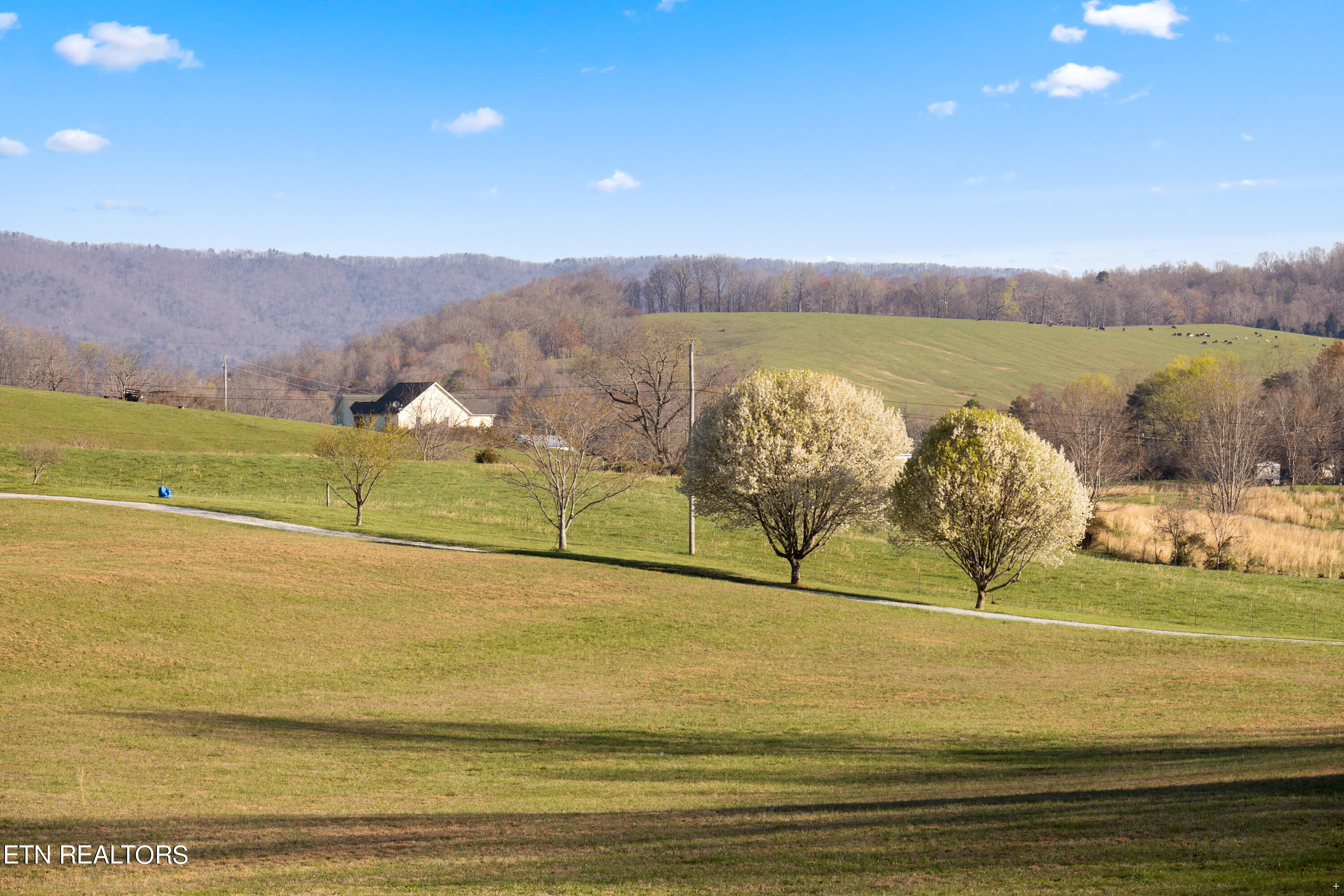 754 Finley Road Rutledge, TN 37861 - Photo 29 of 32 Positive Perceptions-27