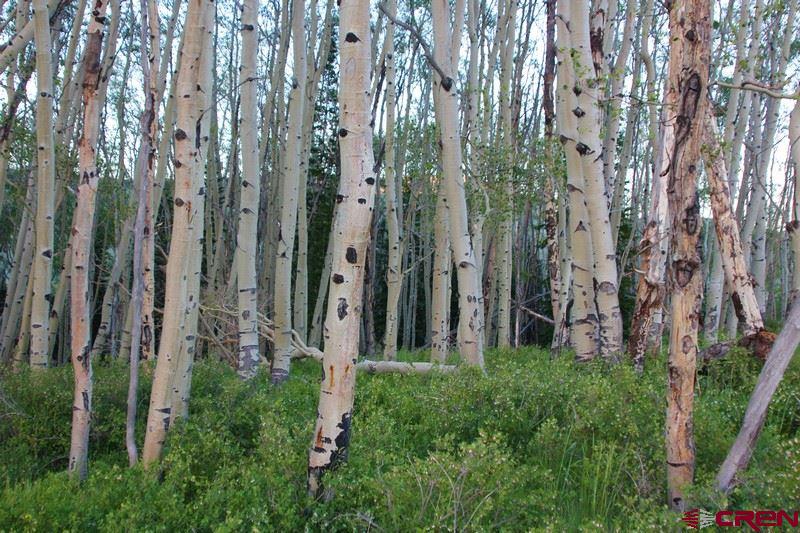 15 Castle Road Crested Butte, CO 81225 - Photo 22 of 33 Gallery Image 22