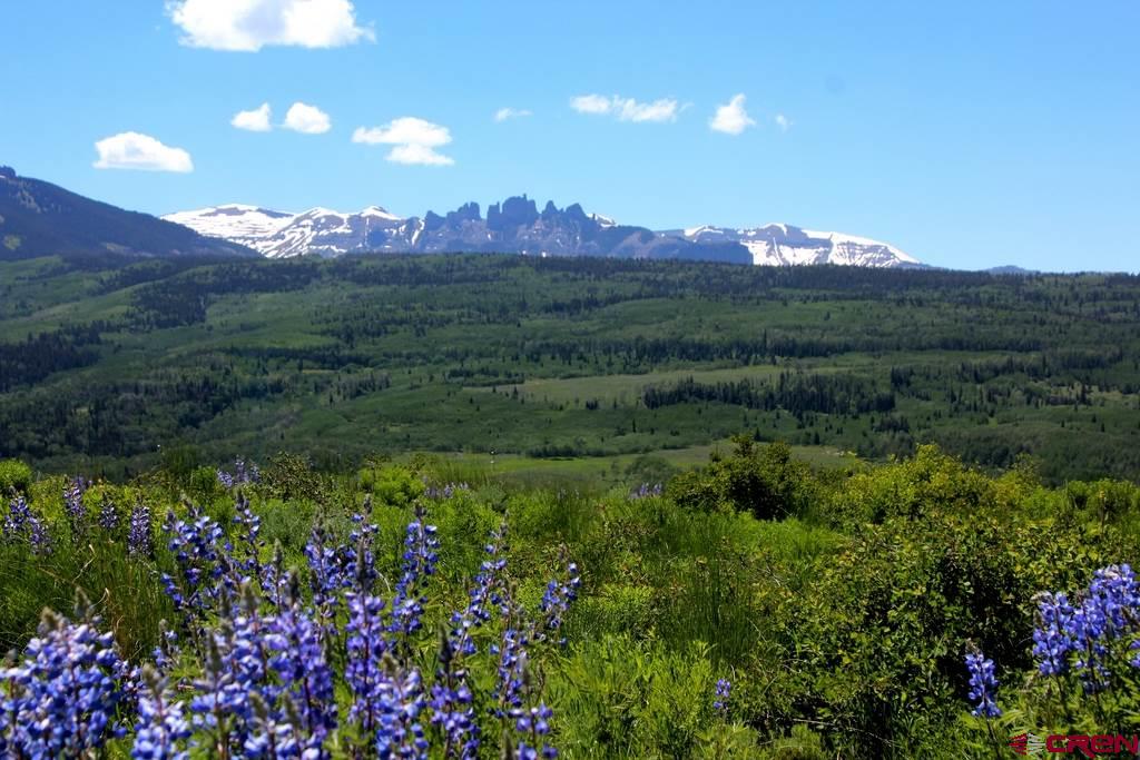 15 Castle Road Crested Butte, CO 81225 - Photo 9 of 33 Gallery Image 9