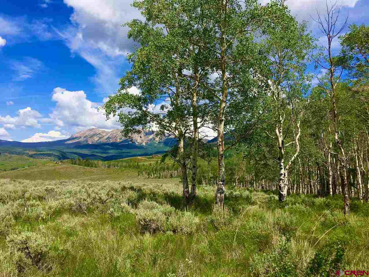 15 Castle Road Crested Butte, CO 81225 - Photo 10 of 33 Gallery Image 10