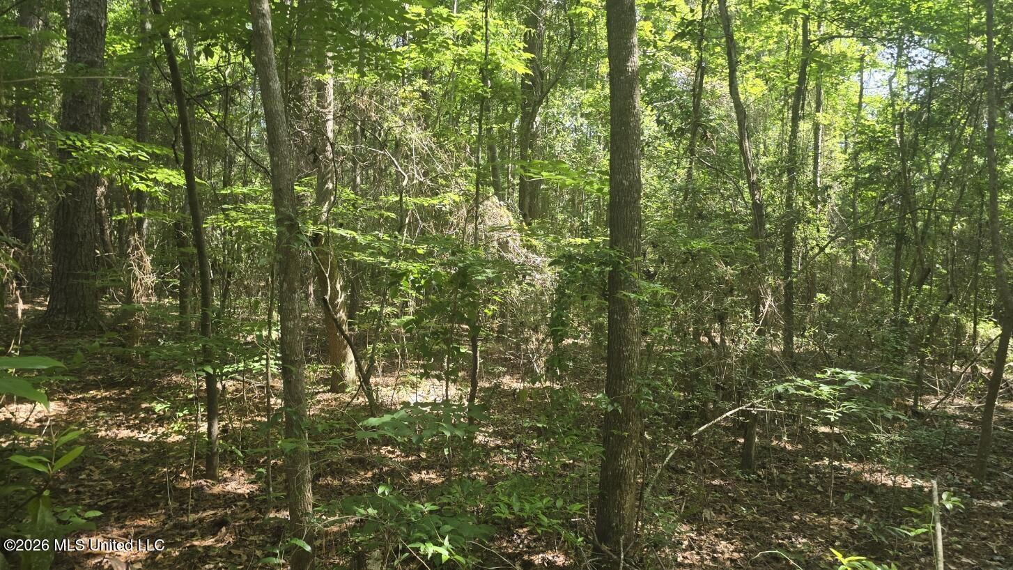 Addison Road State Line, MS 39362 - Photo 5 of 32 20260602_101018