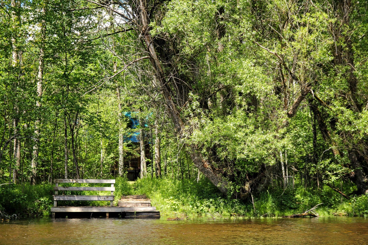 9252 Twin Bridge Road Grayling, MI 49738 - Photo 7 of 31 Gallery Image 7