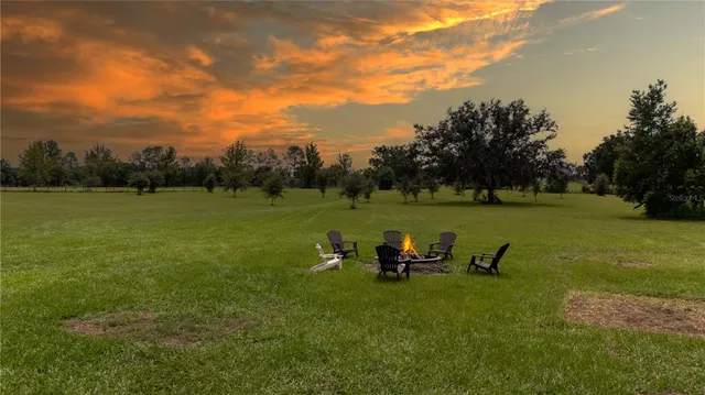 a view of a park with large trees