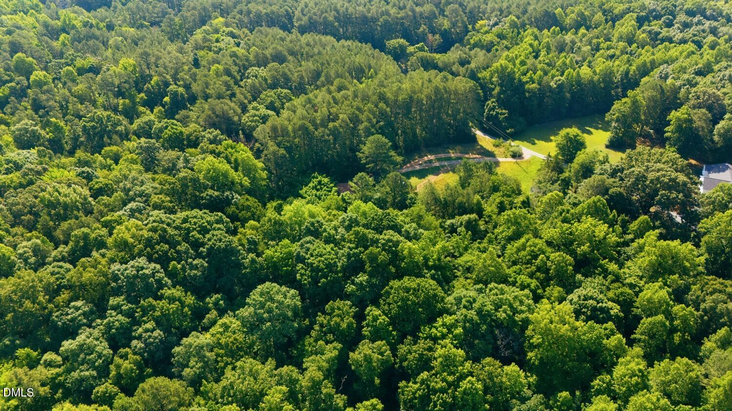 1207 Watson Road Chapel Hill, NC 27516 - Photo 15 of 21 DJI_20260710094349_0049_D