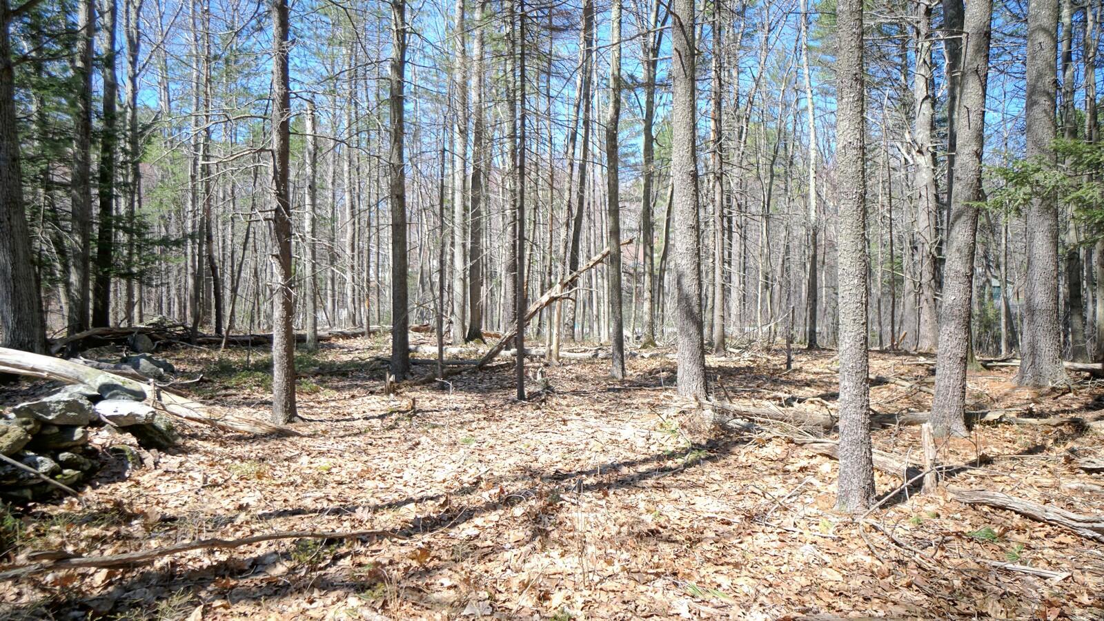 172 B Middle Road Cumberland Center, ME 04021 - Photo 7 of 9 82