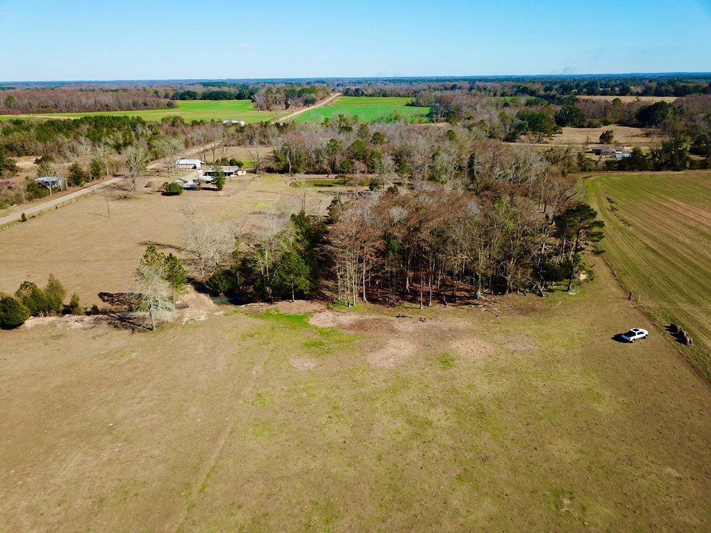 12.7-acres Nobles Road Dothan, AL 36301 - Photo 18 of 41