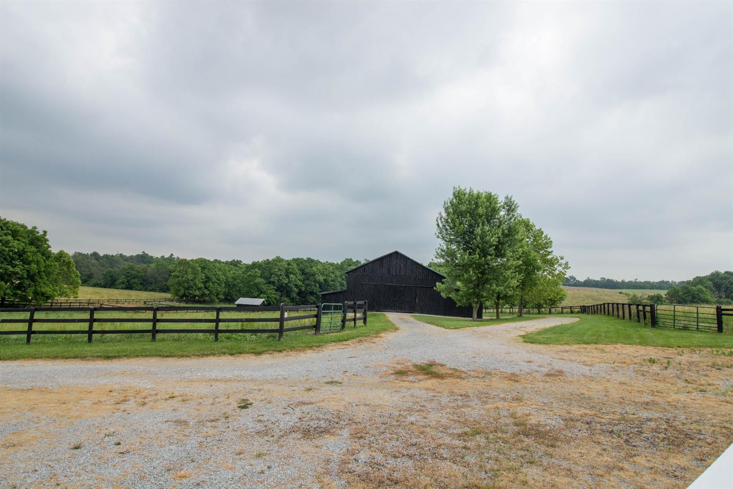 1699 Clintonville Road Paris, KY 40361 - Photo 7 of 11 Photo 7