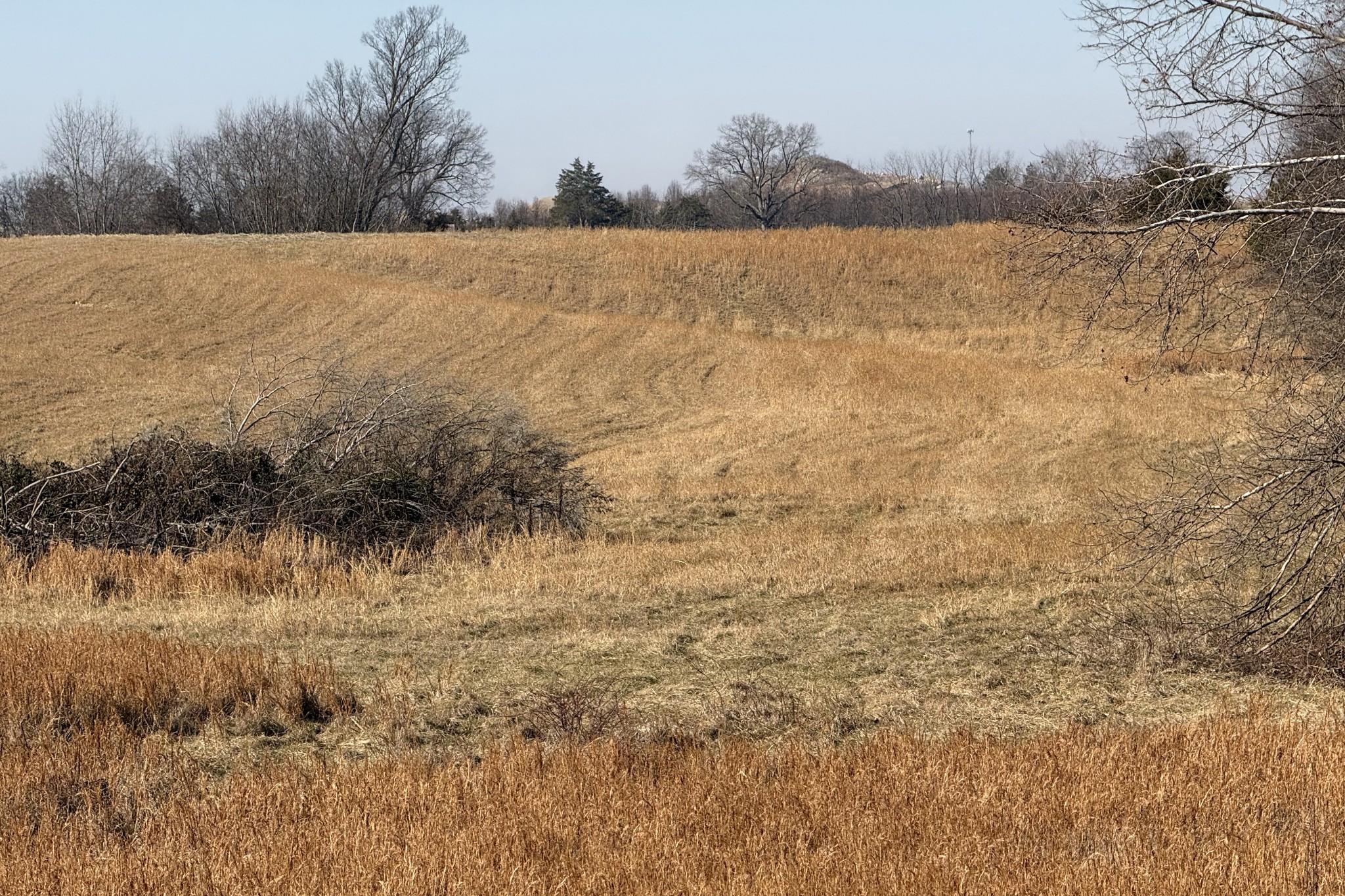 0 Roark Road Franklin, KY 42134 - Photo 3 of 3 a view of a lake view
