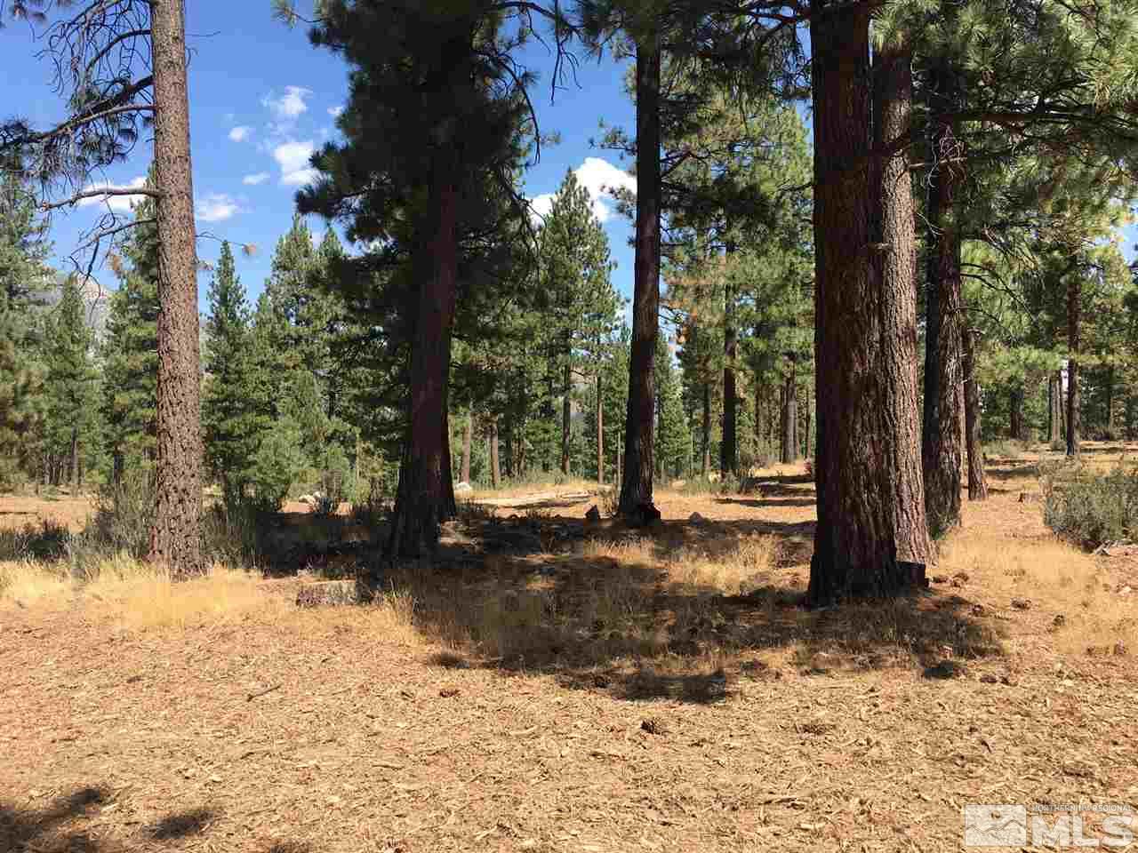 238 Redding Way, Unit 238 Carson City, NV 89705 - Photo 3 of 25 a view of a yard with a tree