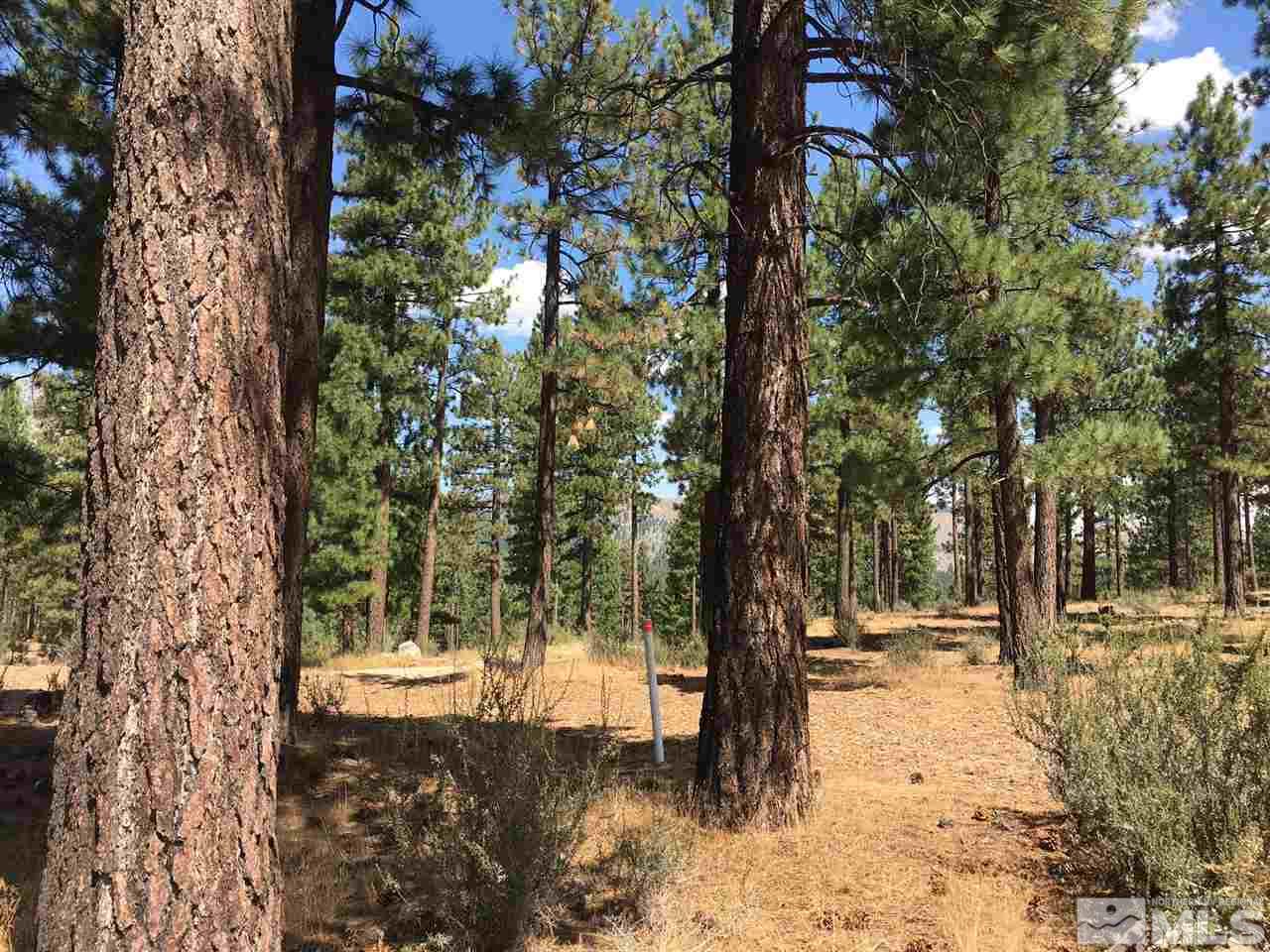 238 Redding Way, Unit 238 Carson City, NV 89705 - Photo 4 of 25 a view of outdoor space with trees