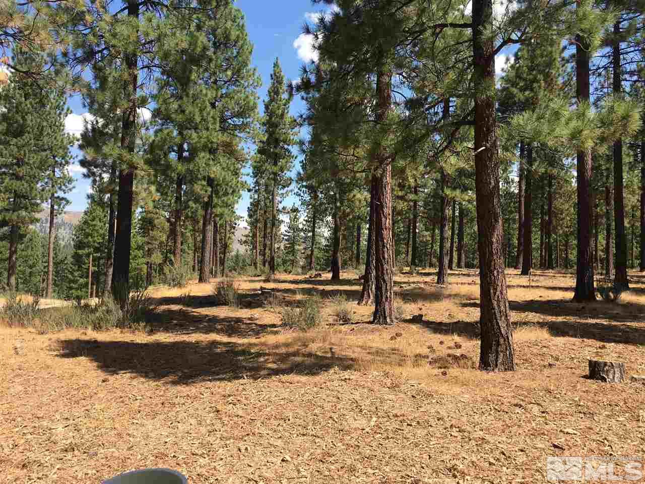 238 Redding Way, Unit 238 Carson City, NV 89705 - Photo 5 of 25 a view of road with trees