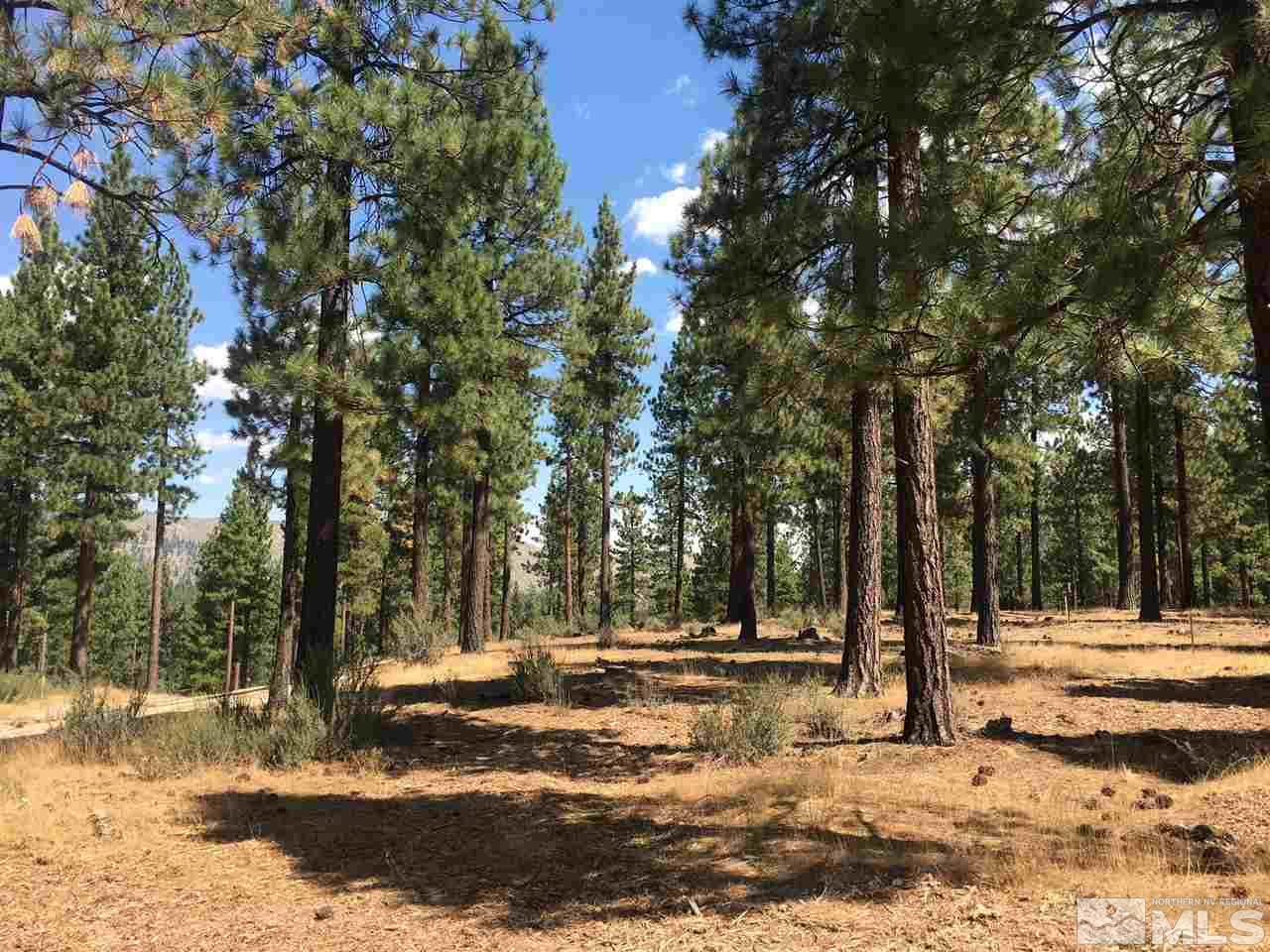 238 Redding Way, Unit 238 Carson City, NV 89705 - Photo 7 of 25 a view of road with trees