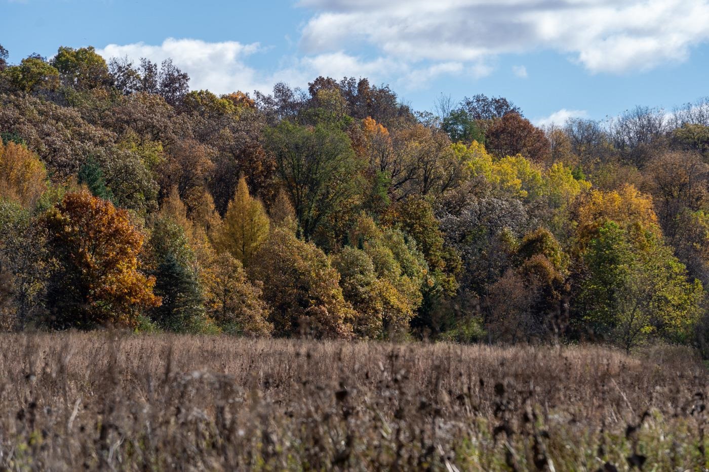 7311 Riverside Road Gratiot, WI 53541 - Photo 12 of 53