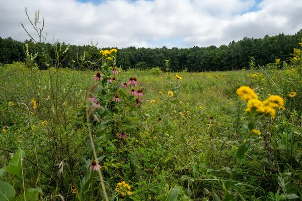 $1,850,000 | 7311 Riverside Road, Gratiot, WI 53541