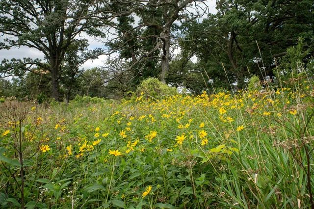 $1,990,000 | 7311 Riverside Road, Gratiot, WI 53541