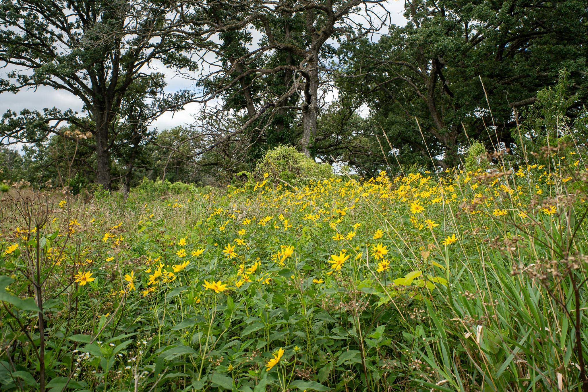 7311 Riverside Road Gratiot, WI 53541 - Photo 17 of 53