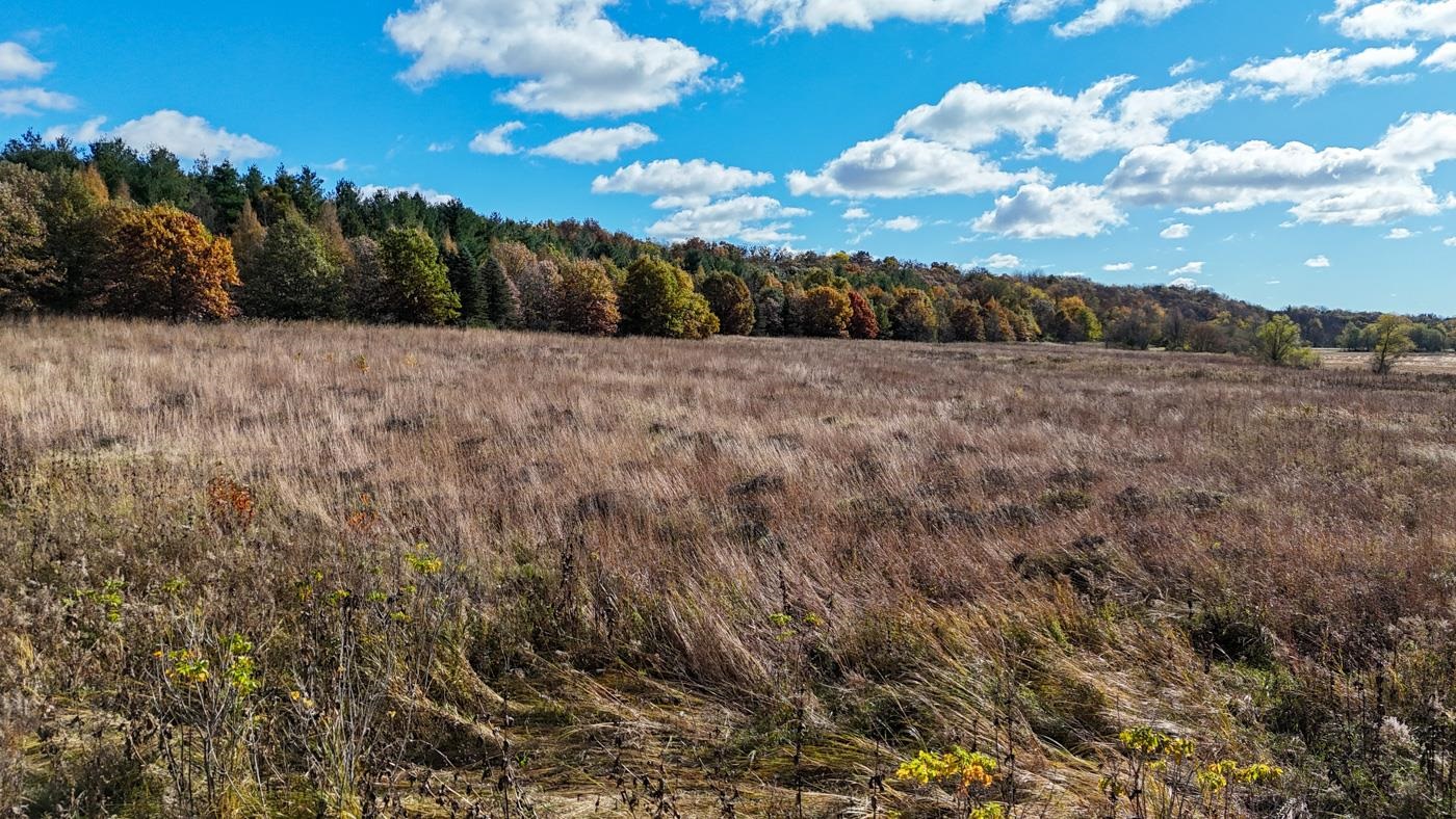 7311 Riverside Road Gratiot, WI 53541 - Photo 3 of 53