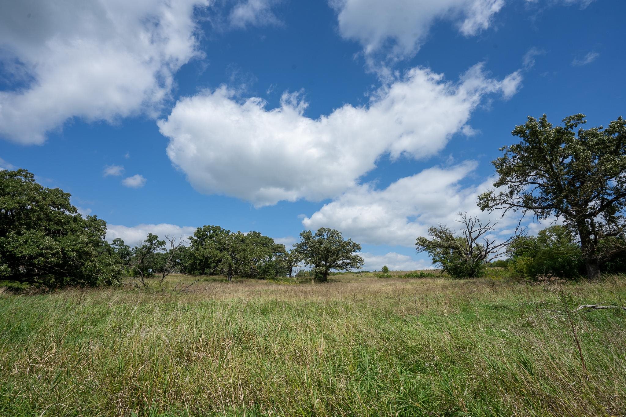 7311 Riverside Road Gratiot, WI 53541 - Photo 40 of 53