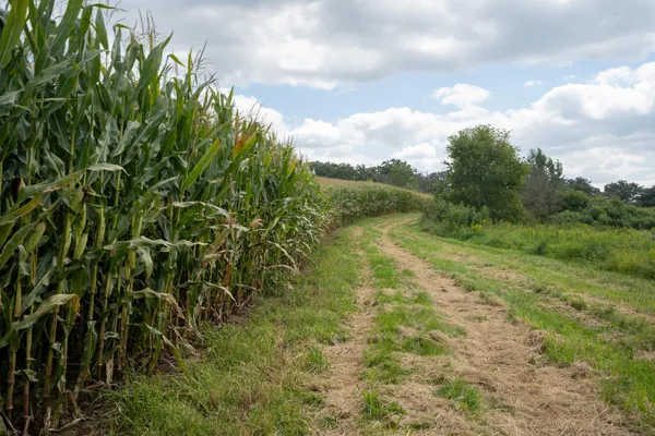 $1,850,000 | 7311 Riverside Road, Gratiot, WI 53541