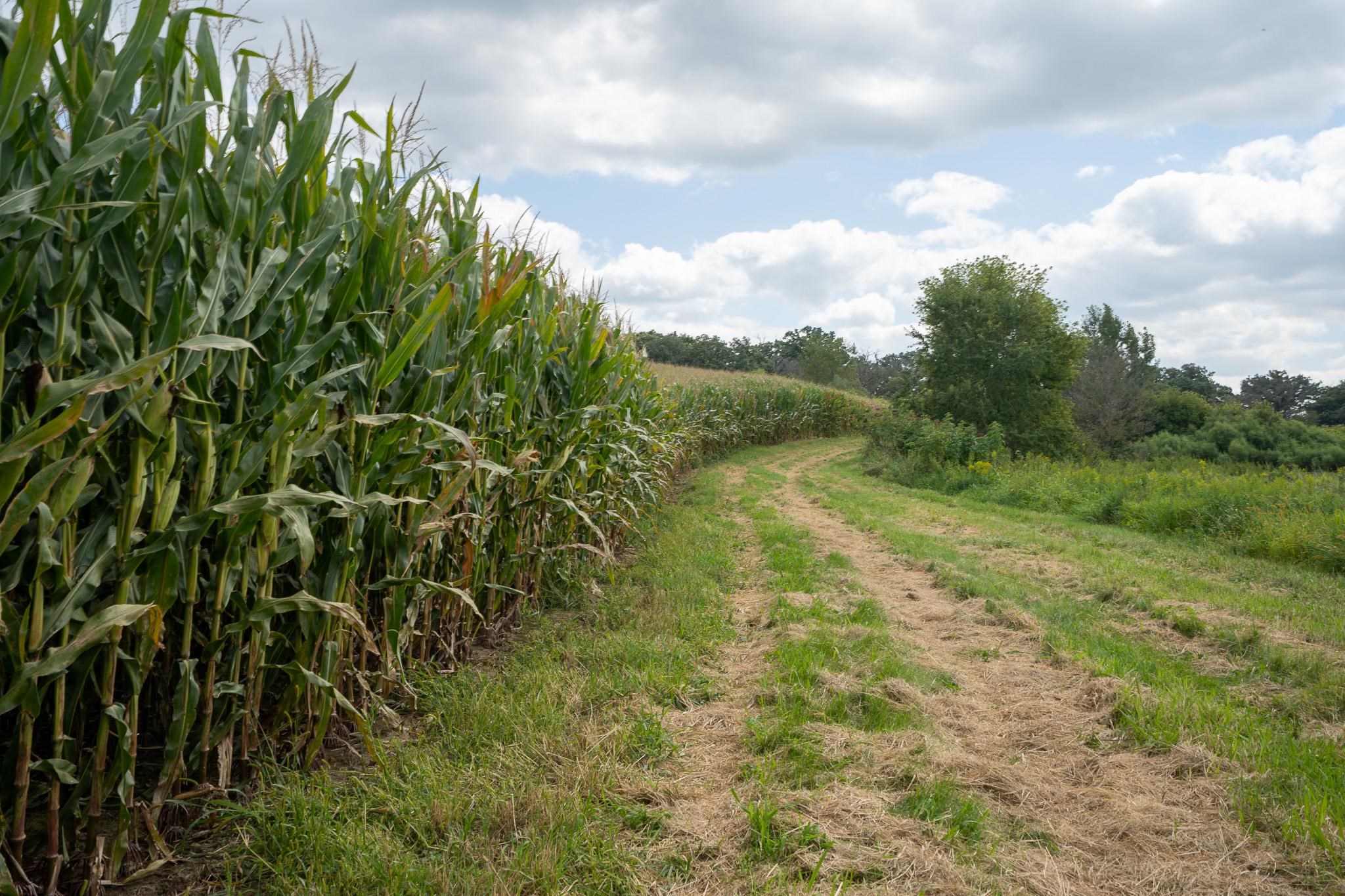 7311 Riverside Road Gratiot, WI 53541 - Photo 43 of 53