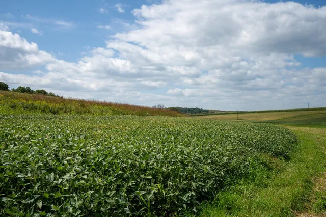 $1,990,000 | 7311 Riverside Road, Gratiot, WI 53541