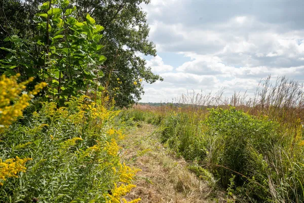 $1,850,000 | 7311 Riverside Road, Gratiot, WI 53541