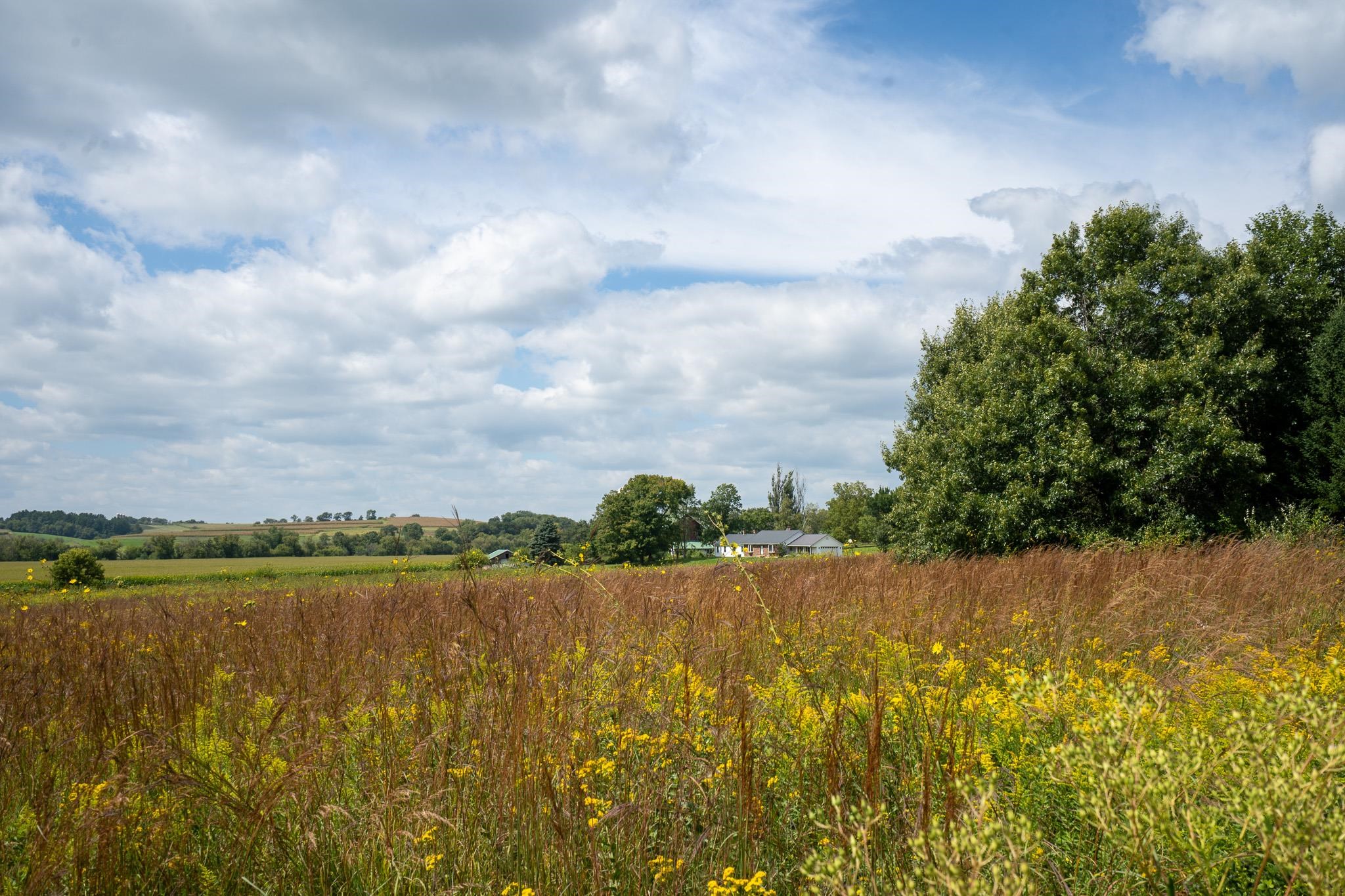 7311 Riverside Road Gratiot, WI 53541 - Photo 47 of 53