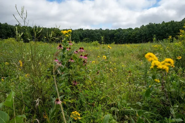 $1,850,000 | 7311 Riverside Road, Gratiot, WI 53541