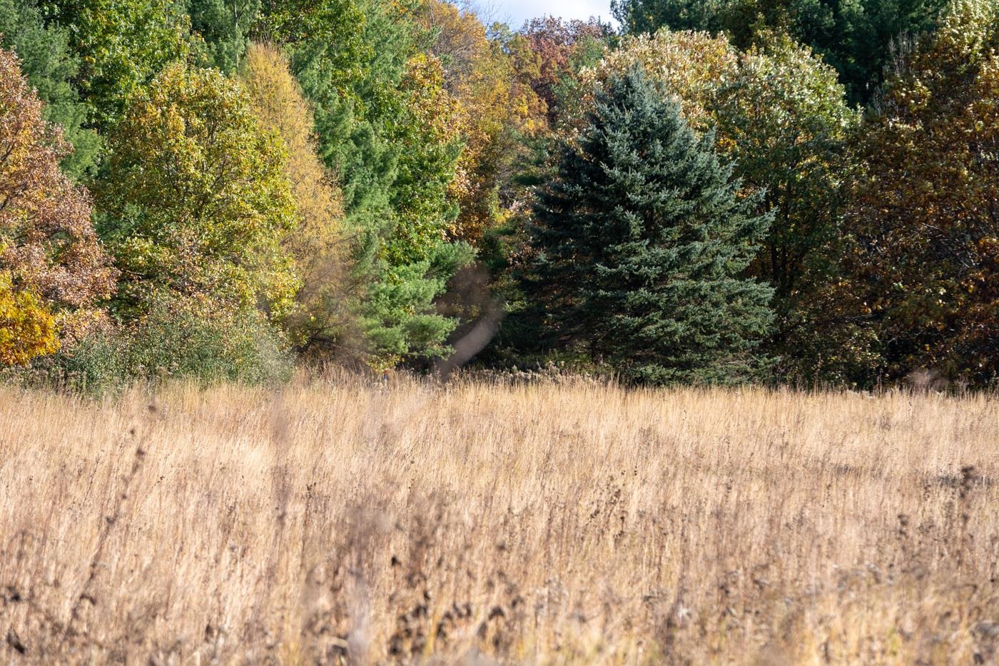 7311 Riverside Road Gratiot, WI 53541 - Photo 52 of 53