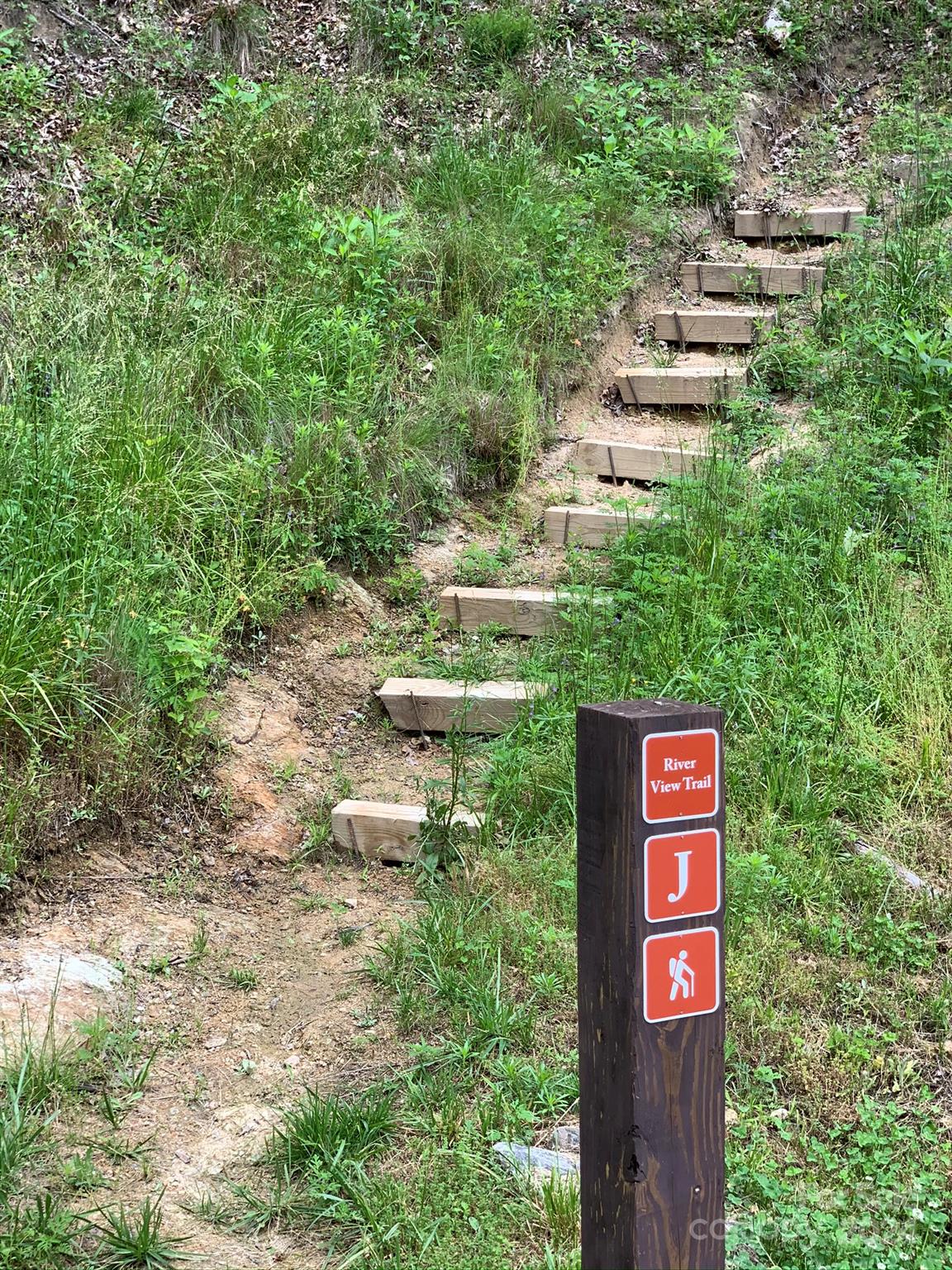 151 Wild Turkey Loop, Unit 29 Marshall, NC 28753 - Photo 13 of 25 a sign board with tall trees