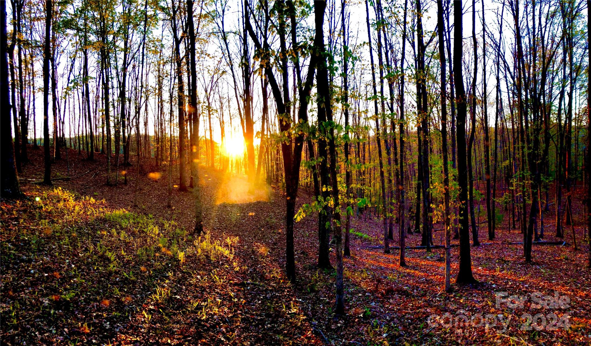 151 Wild Turkey Loop, Unit 29 Marshall, NC 28753 - Photo 4 of 25 a view of outdoor space with seating area and trees