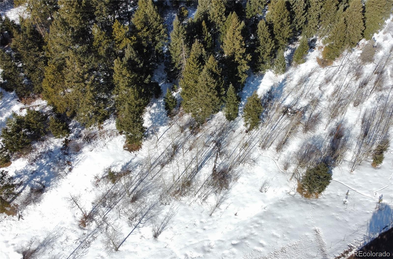 South Maxwell Hill Road Littleton, CO 80127 - Photo 12 of 14