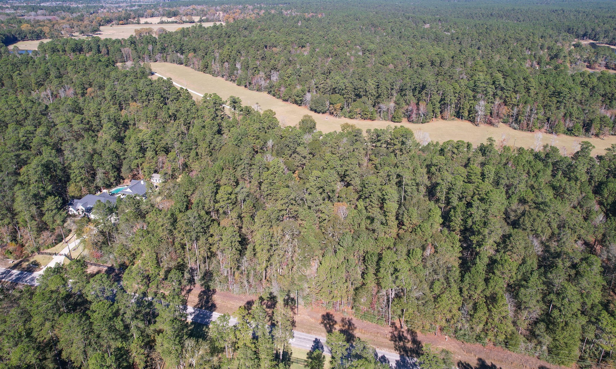 Lot 189 Branding Iron Road Huntsville, TX 77340 - Photo 12 of 48 a view of a yard with a tree