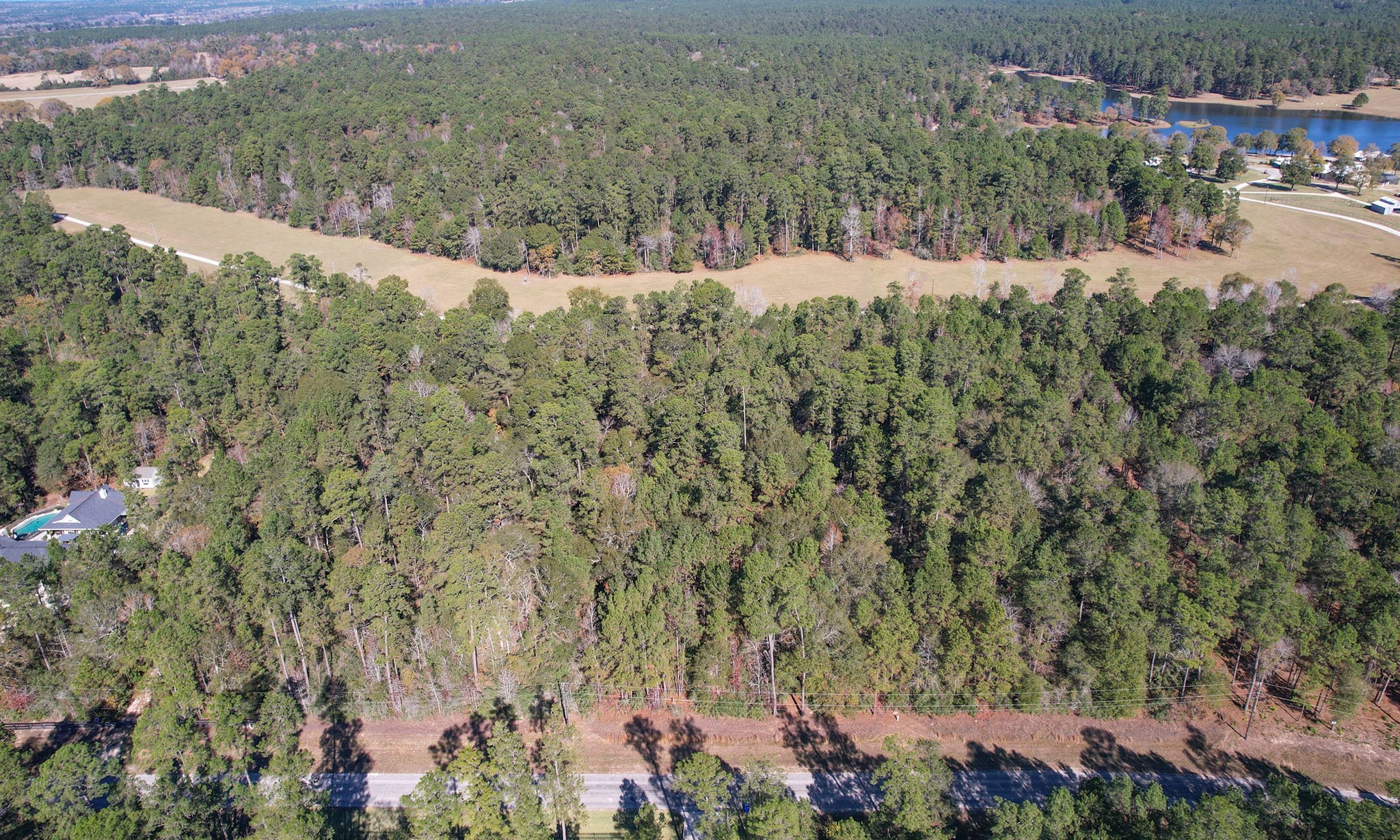 Lot 189 Branding Iron Road Huntsville, TX 77340 - Photo 14 of 48 a view of a yard with a tree