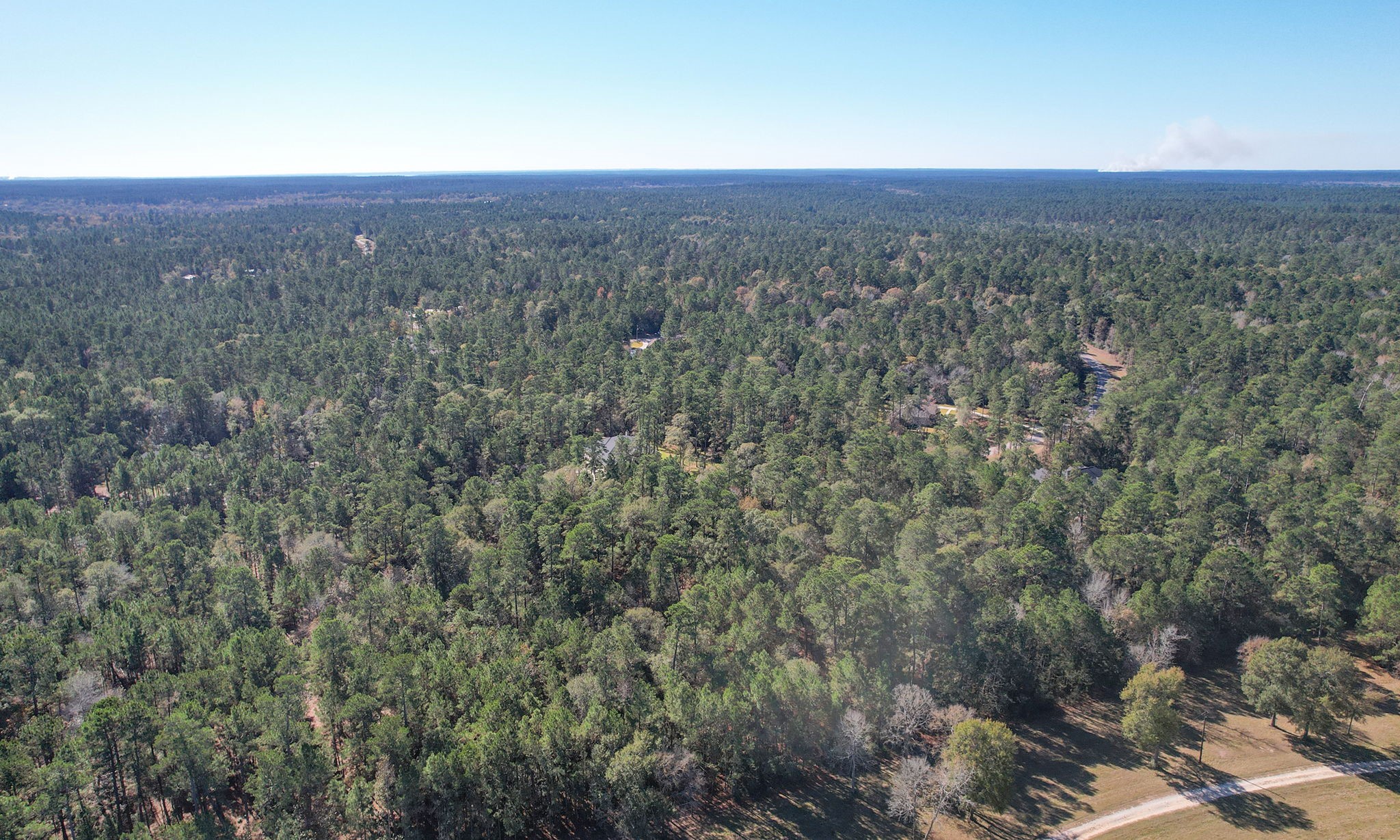 Lot 189 Branding Iron Road Huntsville, TX 77340 - Photo 19 of 48 a view of a city with lush green forest