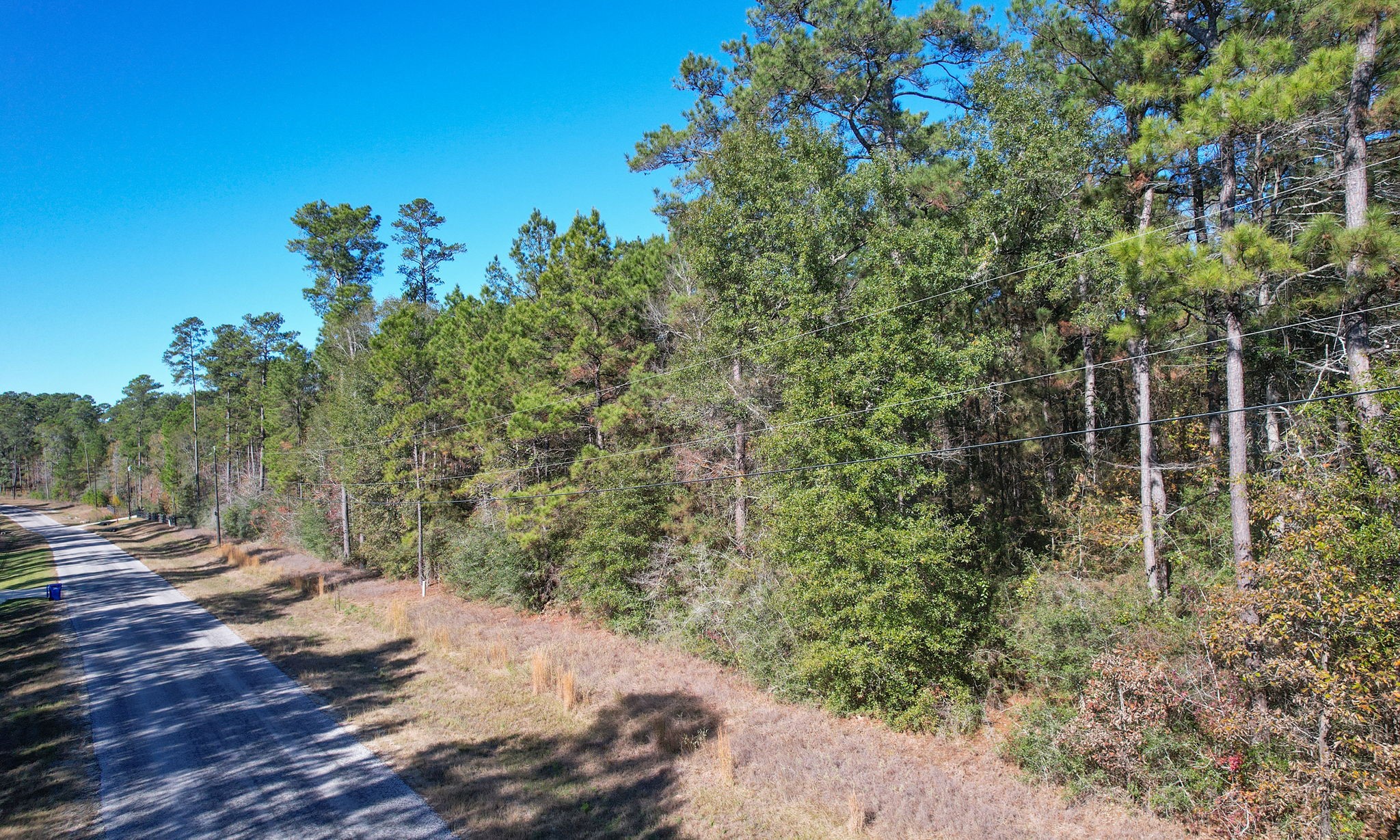 Lot 189 Branding Iron Road Huntsville, TX 77340 - Photo 20 of 48 a view of a yard with plants and trees