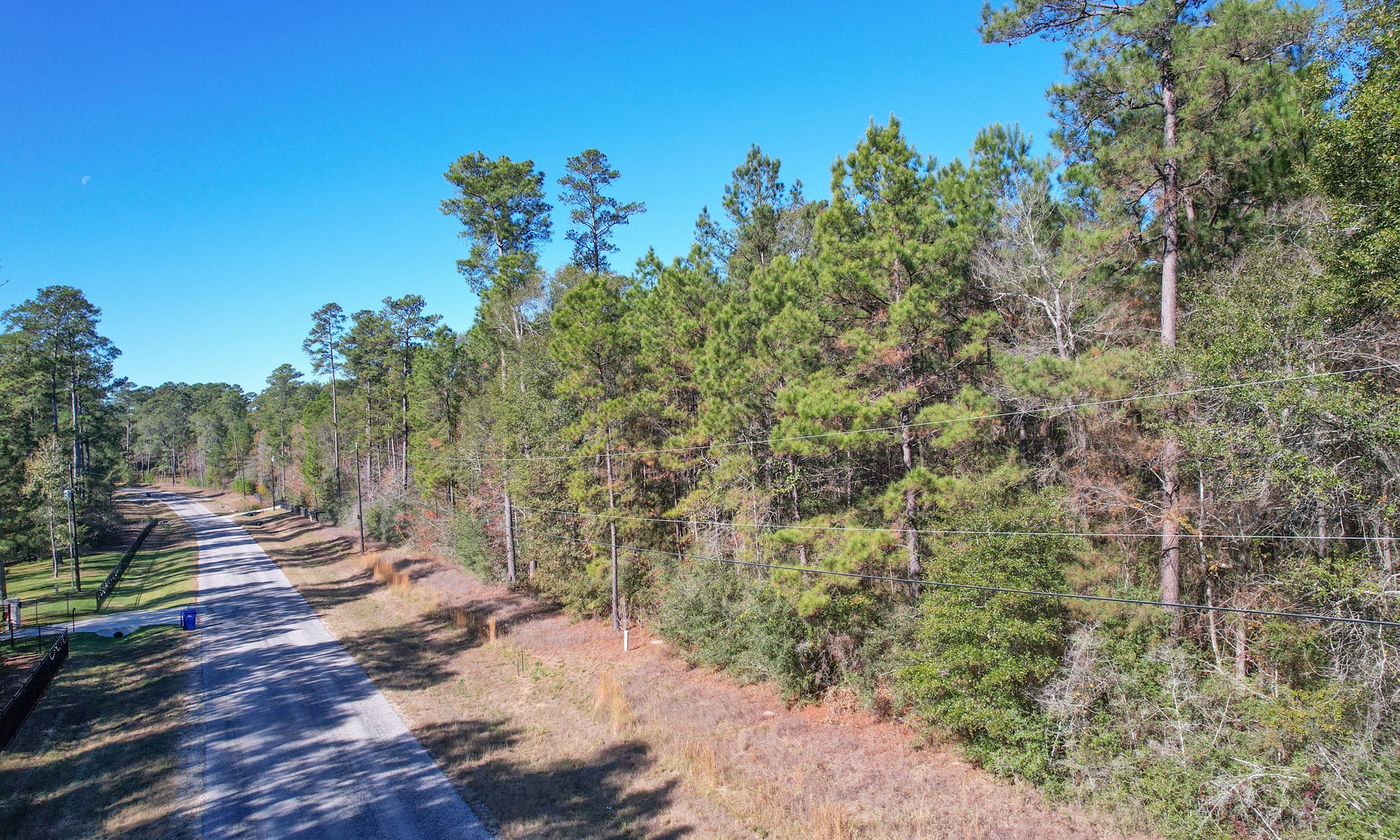 Lot 189 Branding Iron Road Huntsville, TX 77340 - Photo 21 of 48 a view of a yard with a tree