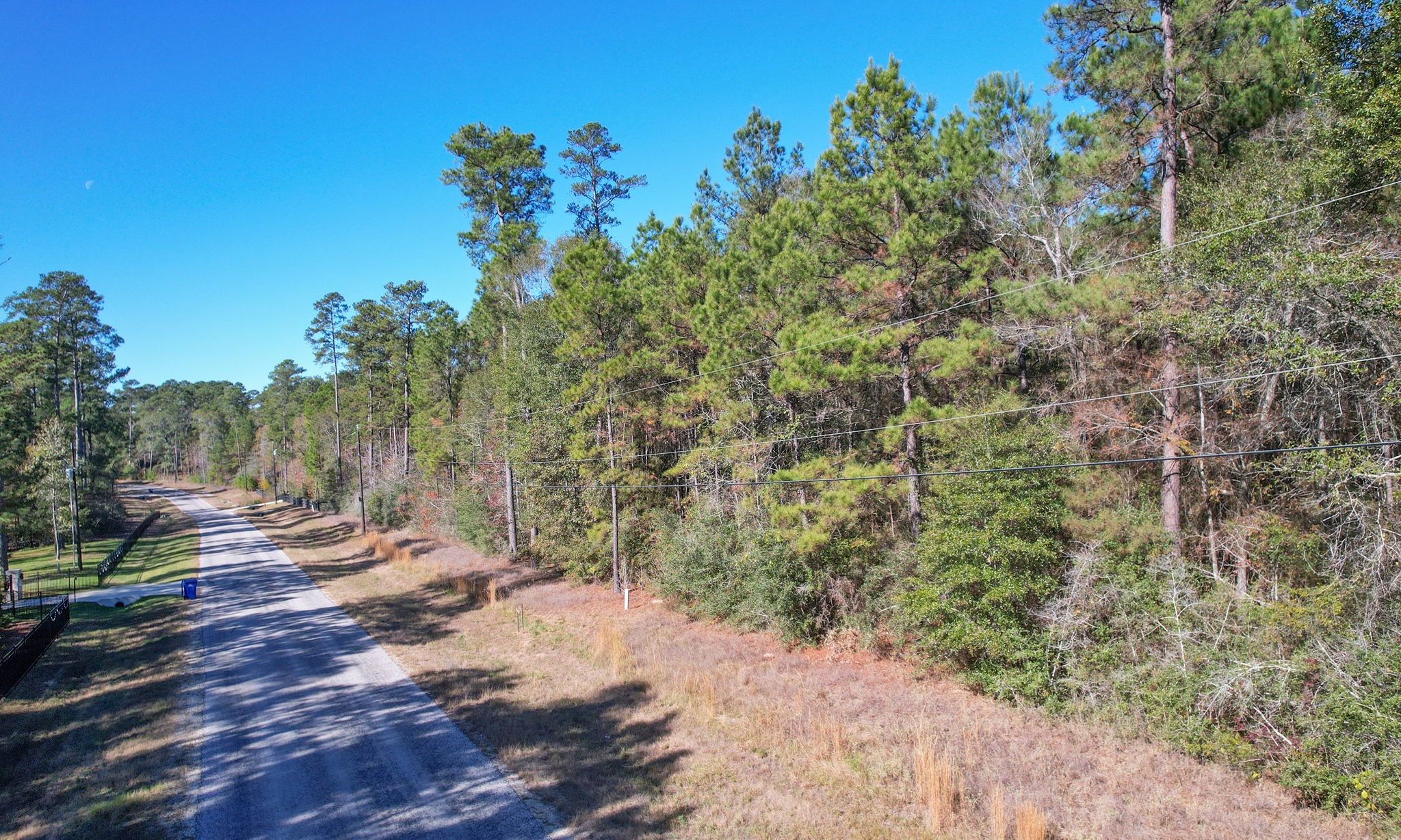 Lot 189 Branding Iron Road Huntsville, TX 77340 - Photo 22 of 48 a view of a yard with a tree