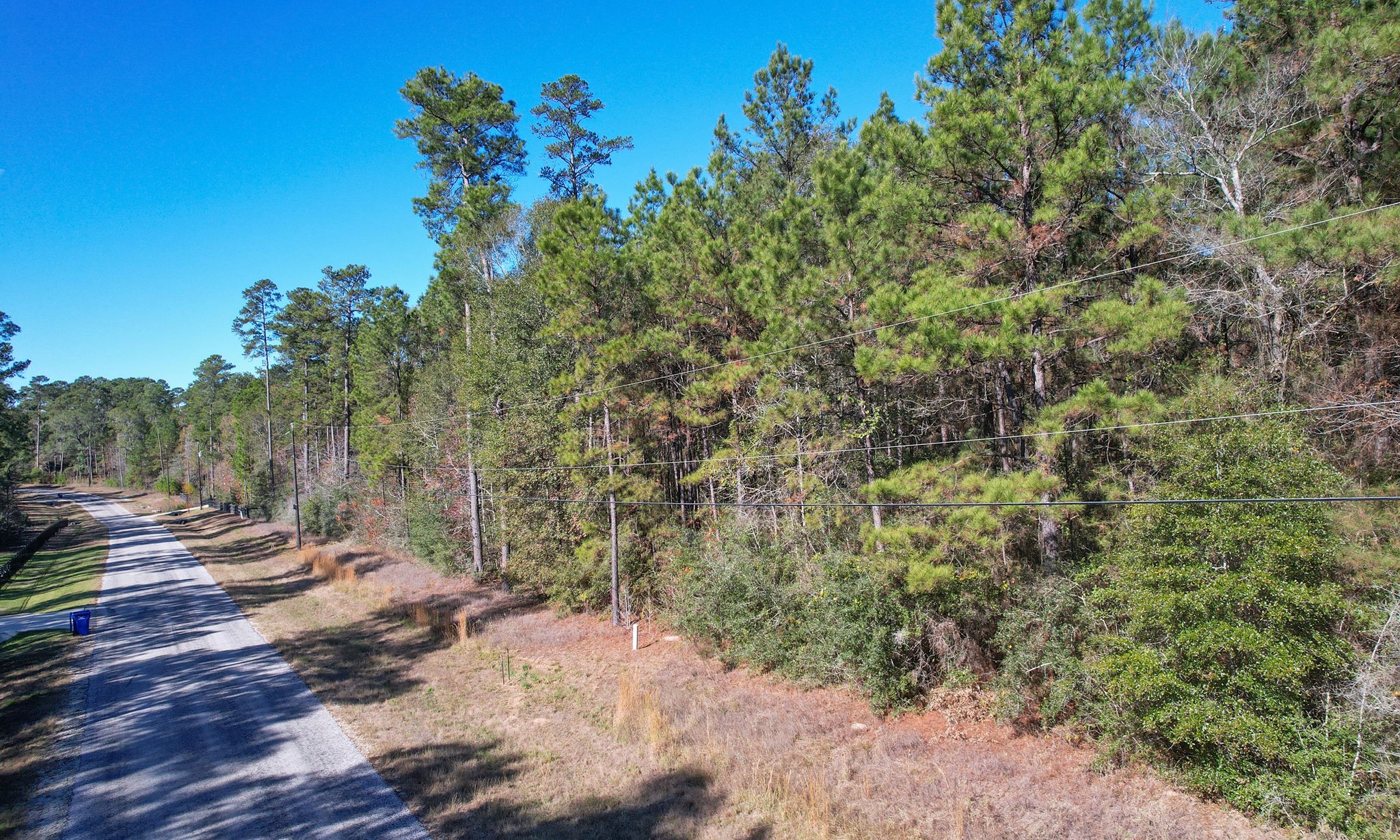 Lot 189 Branding Iron Road Huntsville, TX 77340 - Photo 23 of 48 a view of a forest with trees
