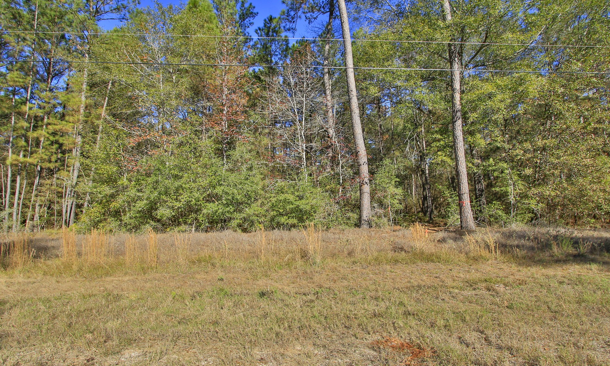 Lot 189 Branding Iron Road Huntsville, TX 77340 - Photo 4 of 48 a view of a pathway both side of a house